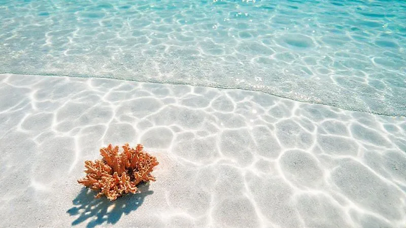 A photorealistic close-up of clear turquoise ocean water gently lapping a pristine white sand beach, a single, healthy coral fragment visible underwater, sunlight dappling through the surface, sharp focus, 8K, professional photography, symbolizing ecological health and preservation.