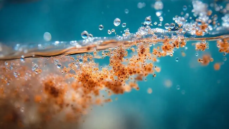 A macro shot of incredibly clear ocean water, showing microscopic plankton and sediment particles suspended, illuminated by underwater light, photorealistic, professional photography, 8K, cinematic lighting, sharp focus, depth of field. A macro shot of incredibly clear ocean water, showing microscopic plankton and sediment particles suspended, illuminated by underwater light, photorealistic, professional photography, 8K, cinematic lighting, sharp focus, depth of field.
