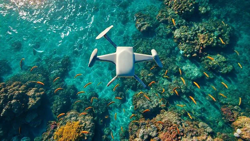 An aerial drone shot looking down into a vibrant, healthy coral reef teeming with colorful fish, visible through incredibly clear turquoise water, sunlight dappling the surface, photorealistic, professional photography, 8K, cinematic lighting, sharp focus, depth of field. An aerial drone shot looking down into a vibrant, healthy coral reef teeming with colorful fish, visible through incredibly clear turquoise water, sunlight dappling the surface, photorealistic, professional photography, 8K, cinematic lighting, sharp focus, depth of field.