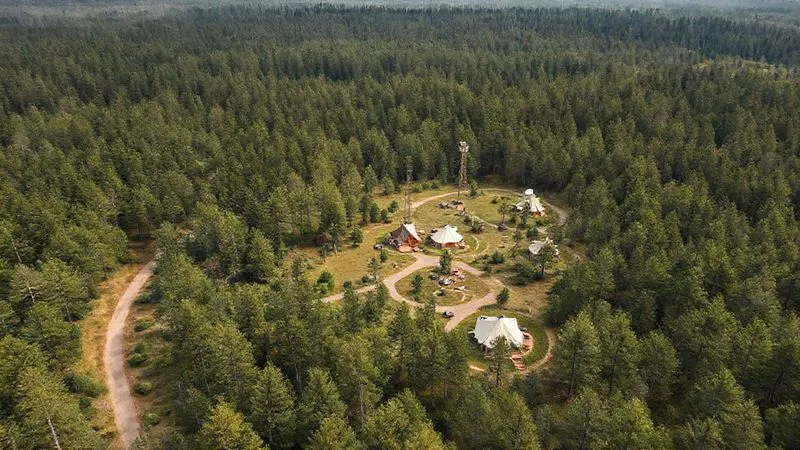 Aerial photorealistic image of a well-designed remote glamping site nestled in a pristine forest, showcasing clear, winding pathways, discreet emergency access roads, and a small, unobtrusive communication tower or satellite dish integrated into the landscape. The layout should appear logical and safe, with tents strategically placed away from obvious hazards. 8K, professional photography, cinematic lighting, sharp focus on the overall layout, depth of field blurring the distant tree line, shot on a high-end DSLR.