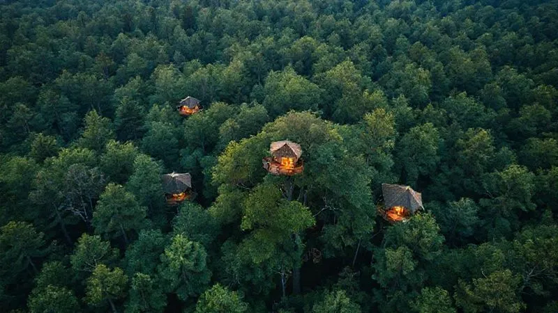 A photorealistic drone shot of a lush, dense forest from above, with several potential treehouse glamping sites subtly highlighted with soft, natural light, indicating careful planning and natural integration. Professional photography, 8K, cinematic lighting, sharp focus, depth of field, shot on a high-end DSLR.